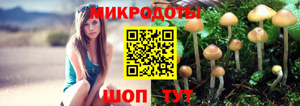 Галлюциногенные грибы мицелий  Псилоцибиновые грибы Cubensis  Морозовск  Вход с VPN 